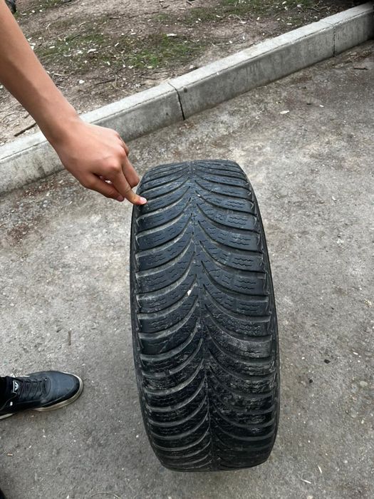 Толық қанды жүруге болады .