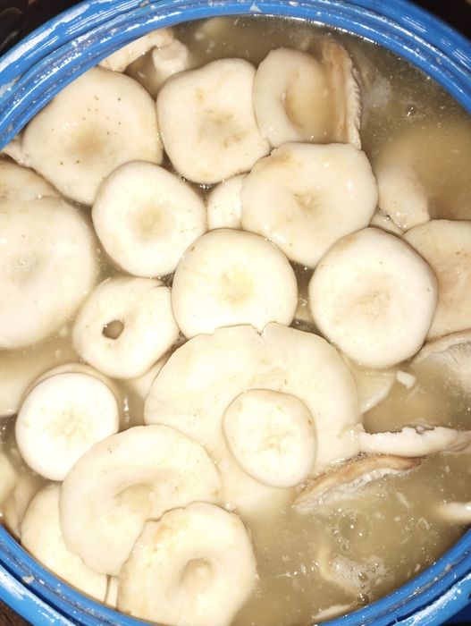 Продам грузди соленые.