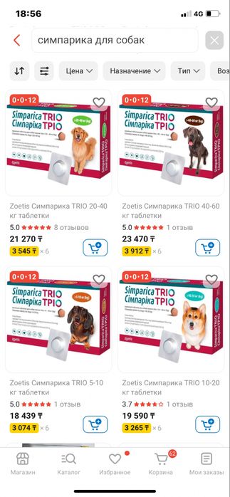 Мальчик мальтезе мини бэбифейс