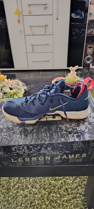 Adidași Nike Lebron