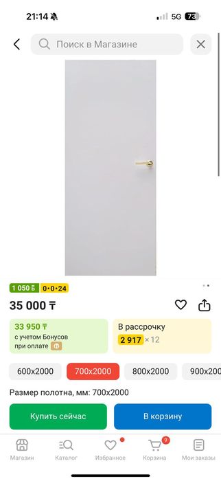 Межкомнатная дверь