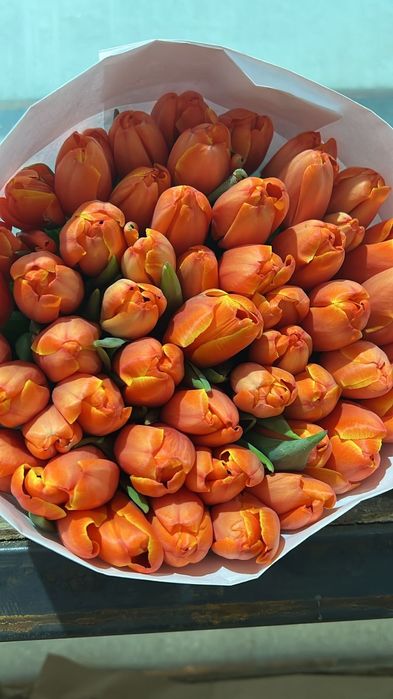 Тюльпан оптом 650