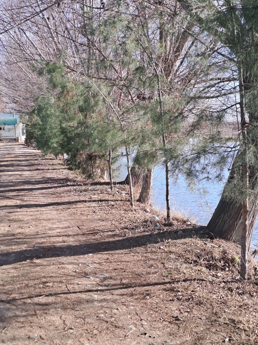 Добро пожаловать на рыбалку , адрес  Самарканд  Жомбой