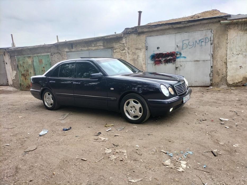 Продам живой Лупарик