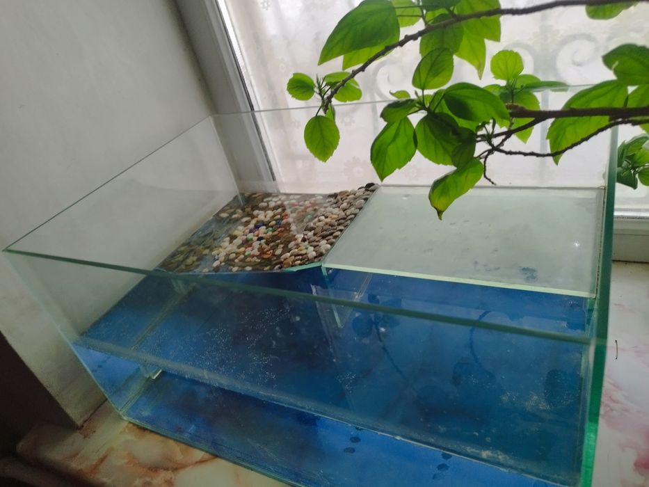 Терариум для земноводных