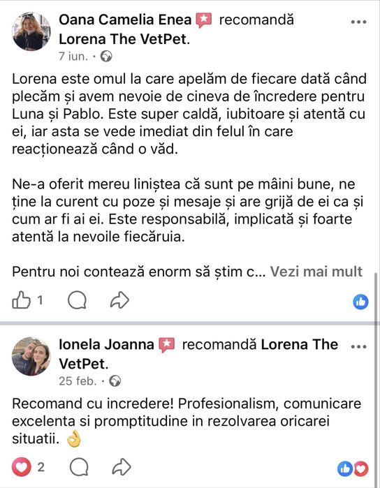 Petsittng, vizte la domiciliu pisici
