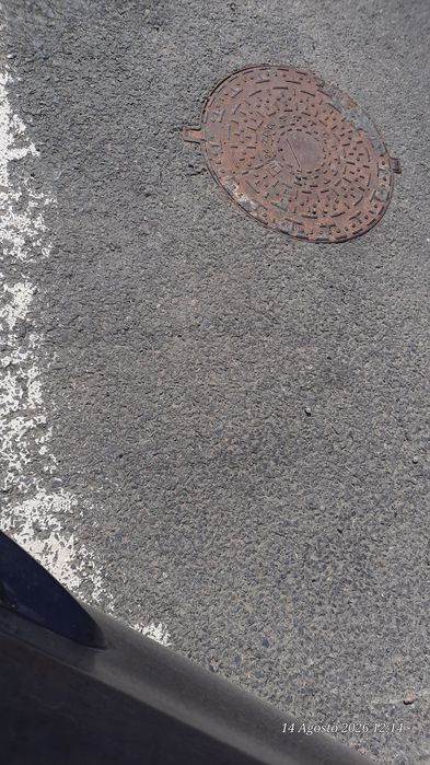 Teren 10000mp in Tomesti