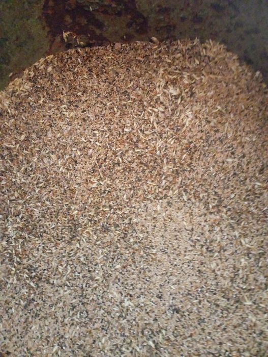 Продам зерносмесь для птиц гусей курей