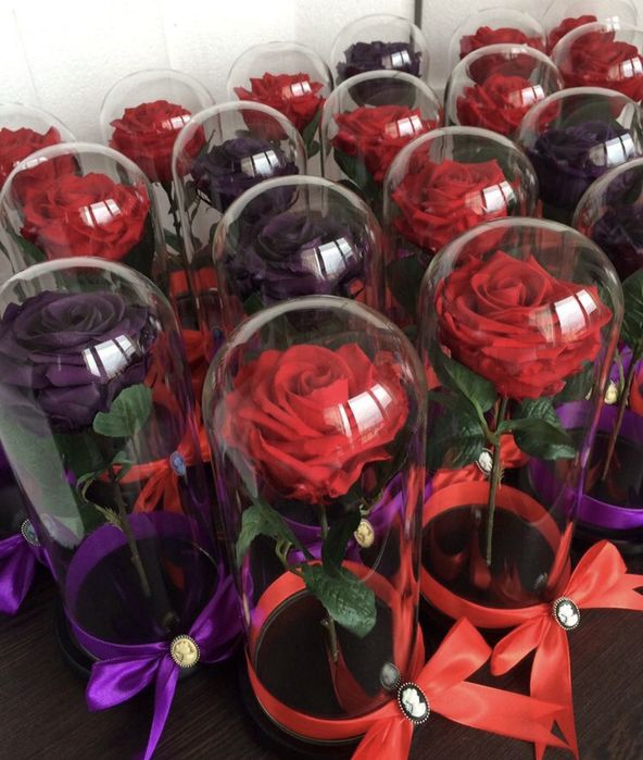 Trandafir rosu in cupola de 17-20-25 cm