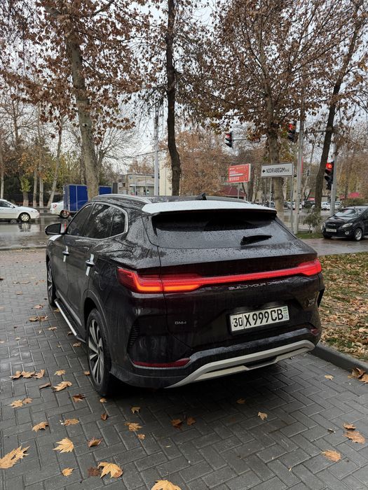 Byd champion Gibrit eng fuli