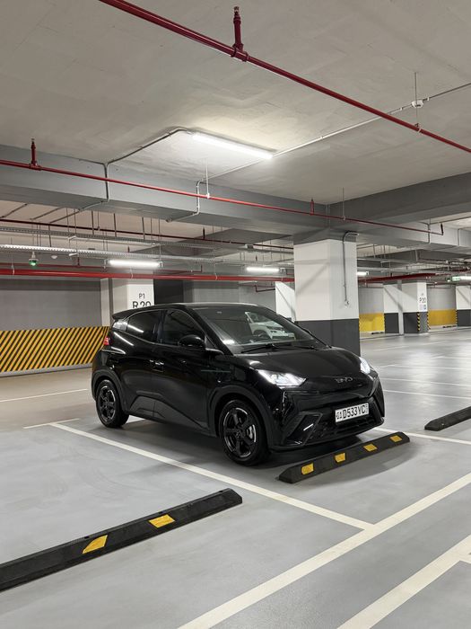 2024 Byd seagull 13.800$