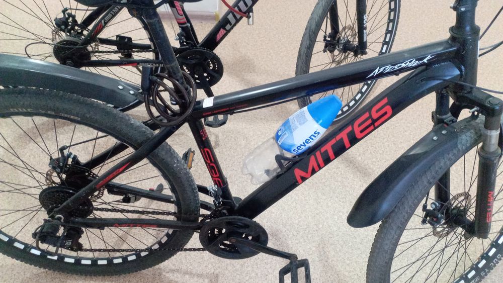 Великтер сатылады