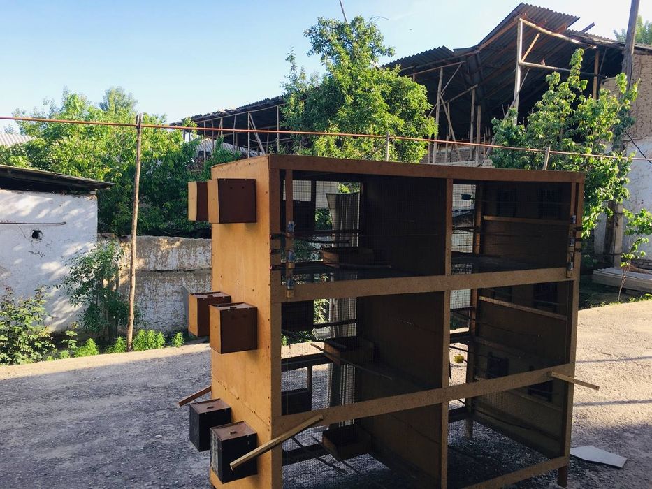 Qushlar qafasi qushlar uchun