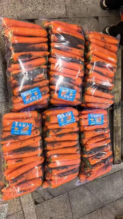 Морковь  оптом от 20 тонн