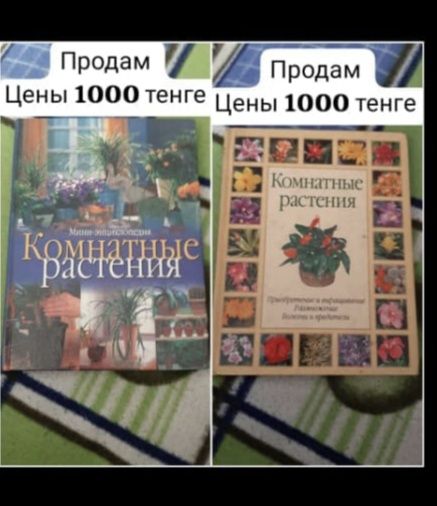 Продам  цветочки