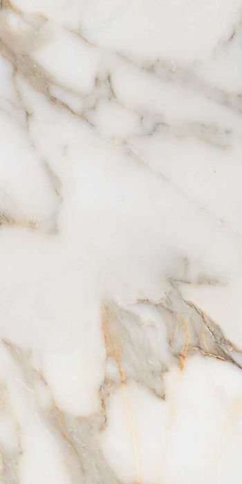 Gresie Alex Calacatta 60x120 Lucioasa