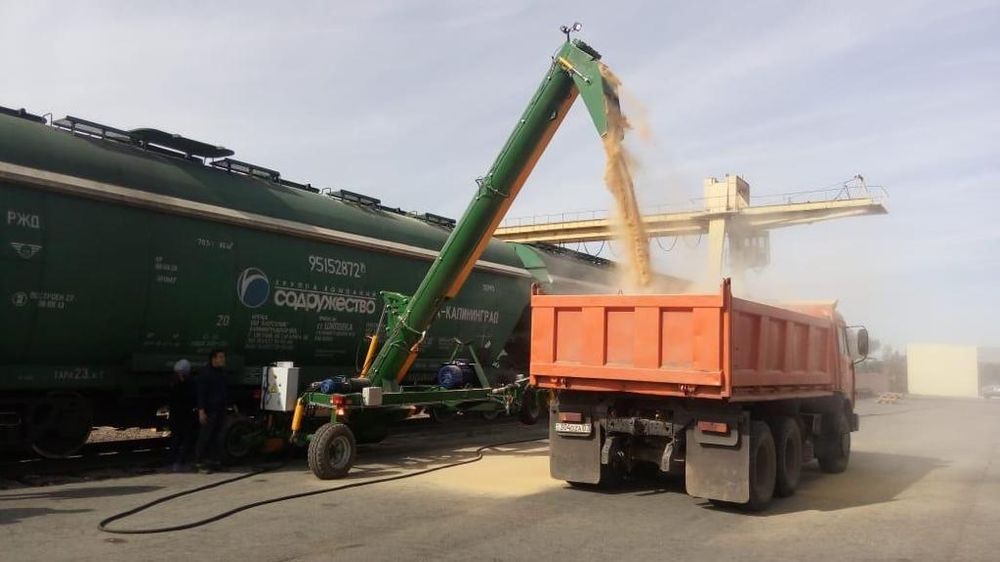 Продам ячмень продовольственный