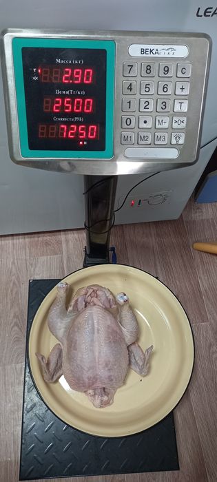 Мясо бройлера домашнее