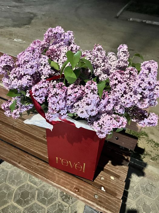 Продам Апрельская сирень