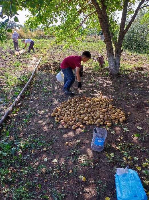 Земельный участок
