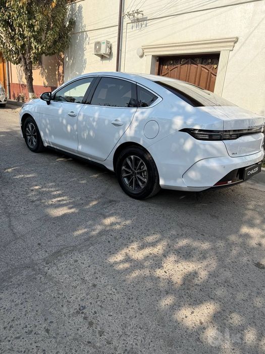 BYD chazor 2024 yil