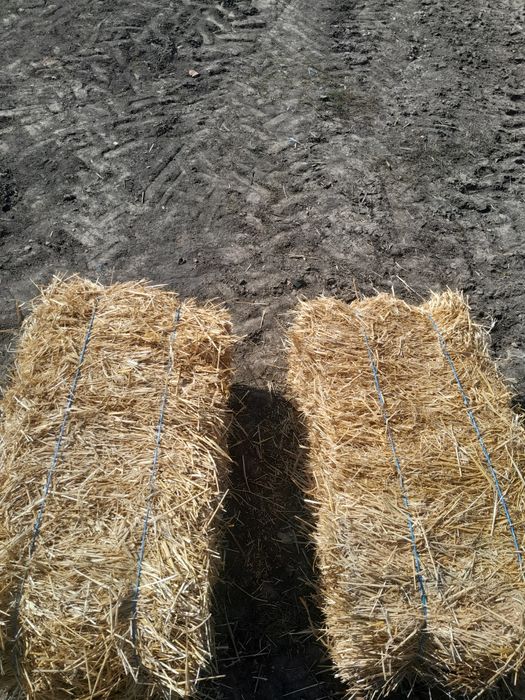 Baloți paie de grau