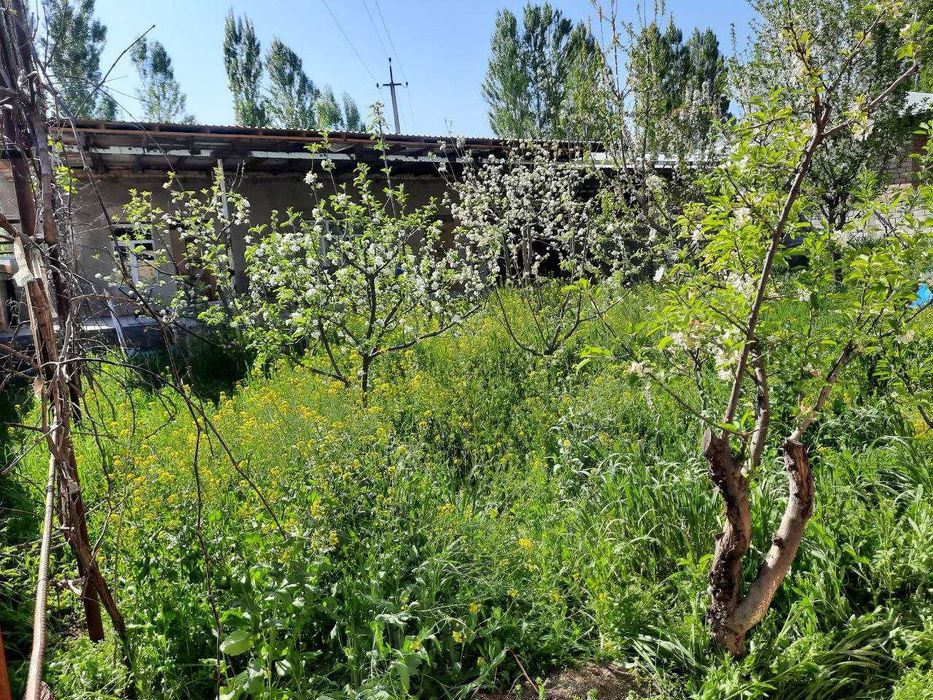 Продается дачный участок Ташкентская область 1 км до чирчика