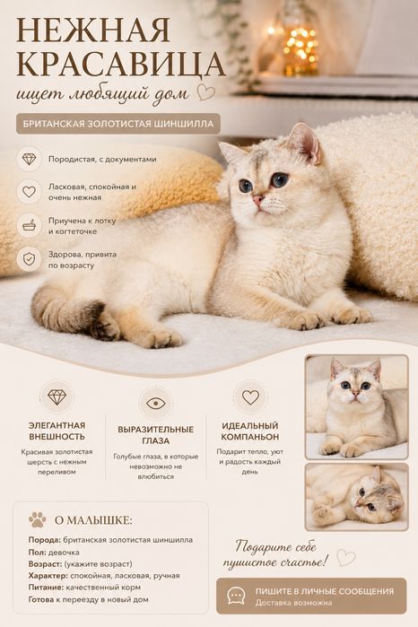 Девочка поинт NY1133 фото реальное