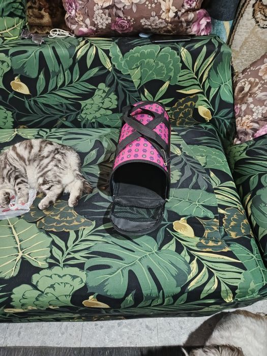 Продам переноску для животных