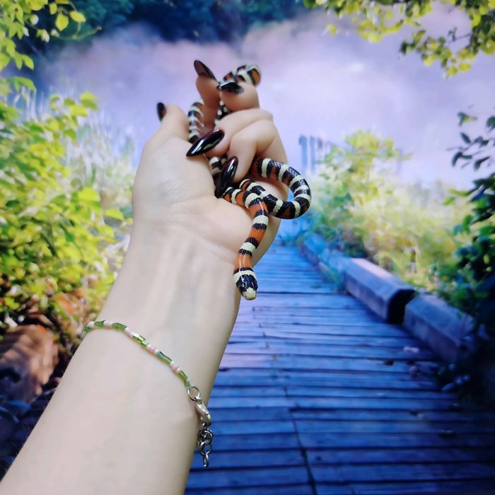 Змеи от 45 тысяч