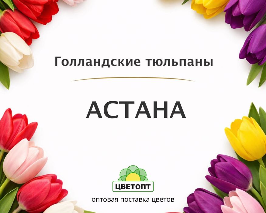 Тюльпаны оптом Астана