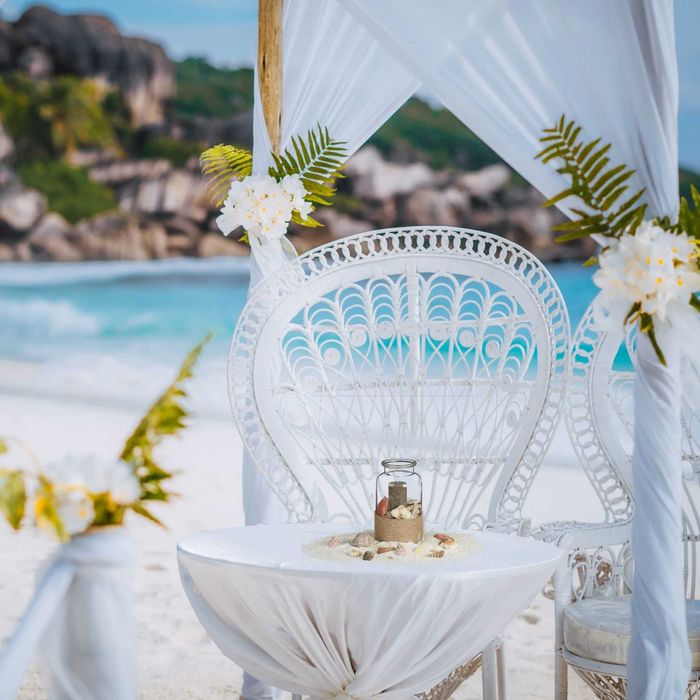 Set de Scoici si Melci de Mare pentru Decorare Artizanat Naturale 1kg