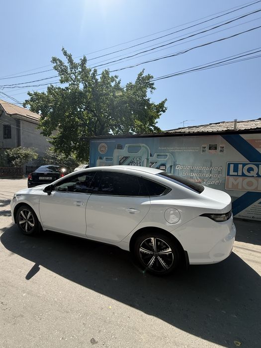 BYD CHAZOR 4-poz flagship batumators