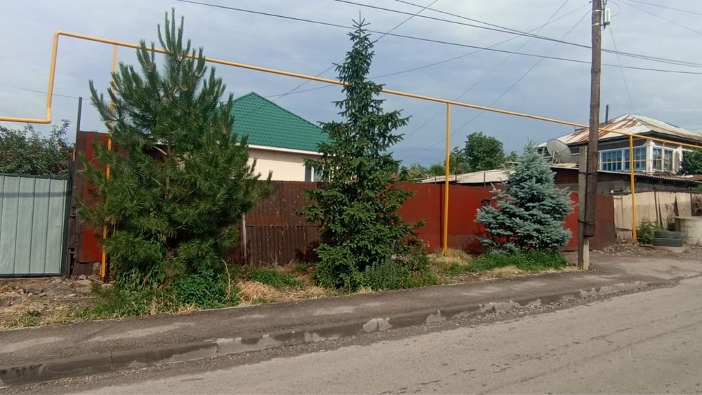 Продается сосна и елки