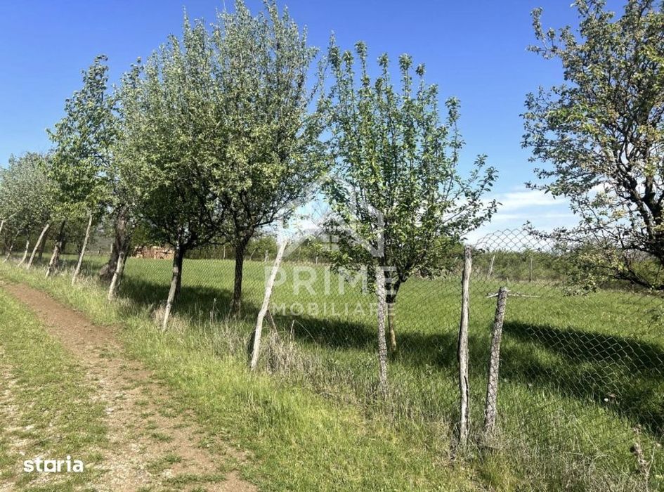 Teren intravilan | 700 mp | ZONA Cetate | Alba Iulia | CONSTRUIBIL