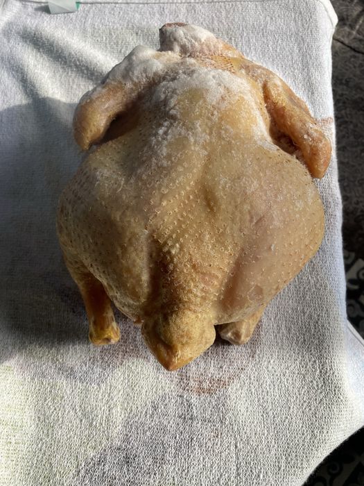 Бройлерная домашняя курица