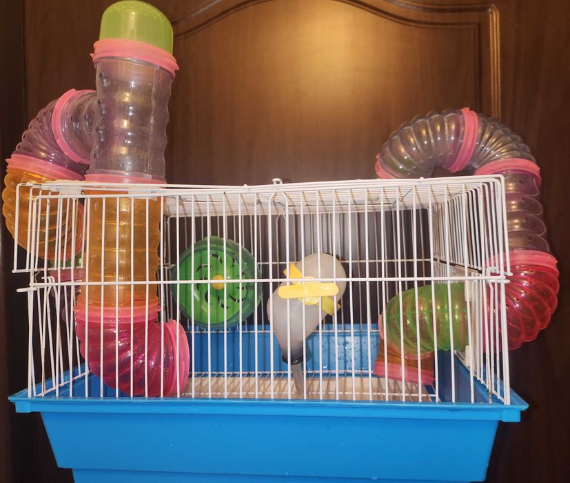 Vând cușcă hamsteri