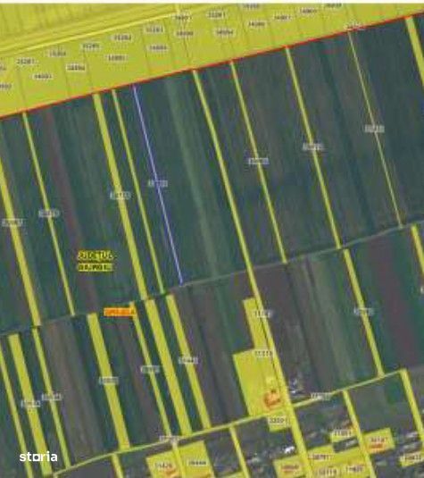 Teren extravilan Cota parte 29/64 Greaca, ID: R3030129