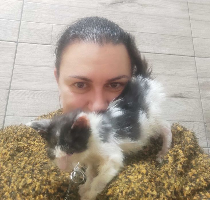 2-месечно момченце търси дом!