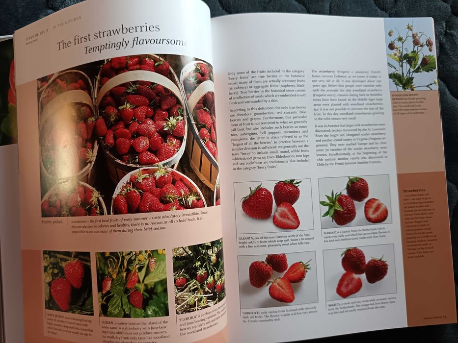 Fruit and Vegetables