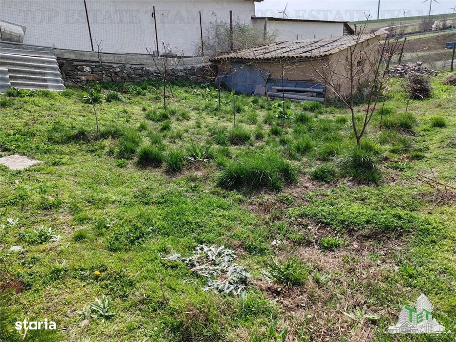 Teren intravilan cu utilitati 4350 mp  la tara Jud Constanta