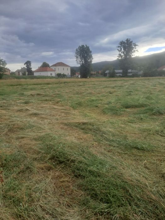Vând baloți rorunzi din amestec de ierburi si  leguminoase!