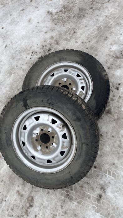 175/70/13 кыскы донгалак