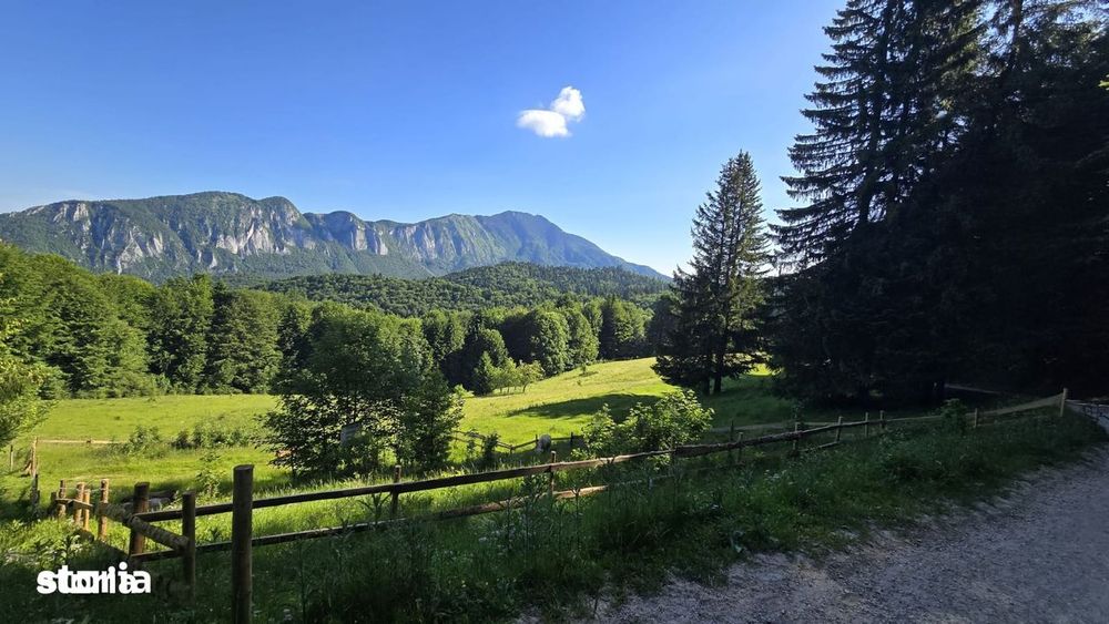 Teren Poiana Secuilor -Predeal