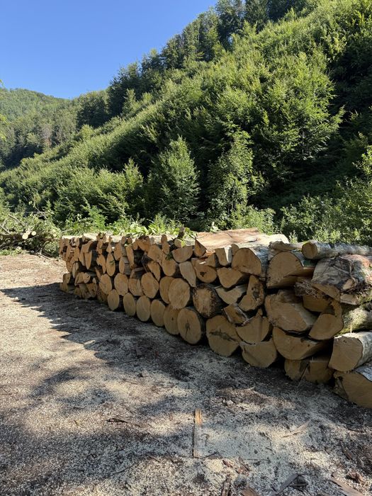 ‼️Comercializăm lemne de foc esențe tari de cea mai bună calitate‼️