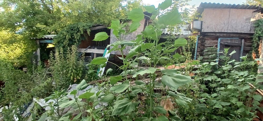 Продам дом шмелев лог Димитрова57