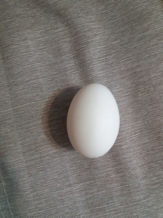 Яйца пасхальные сувенирные