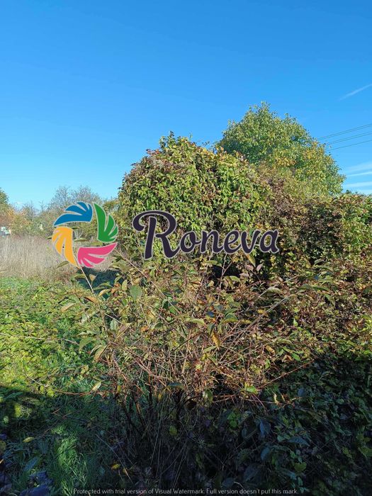 Голямо дворно място с къща и много сезонни постройки