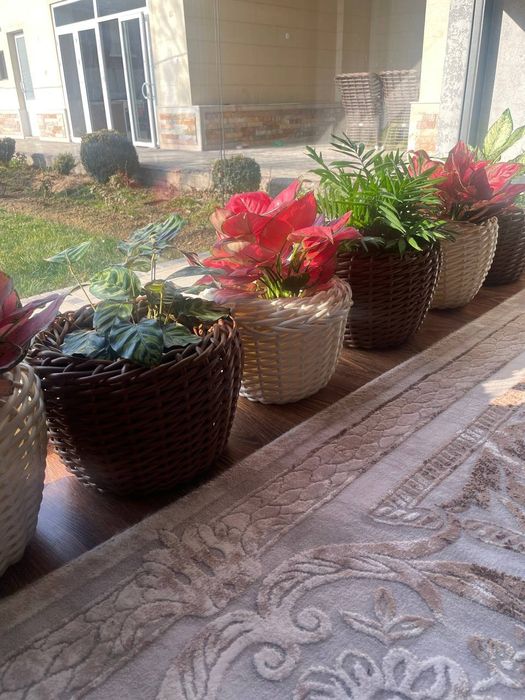 Rotandgan to'qilgan tuvak