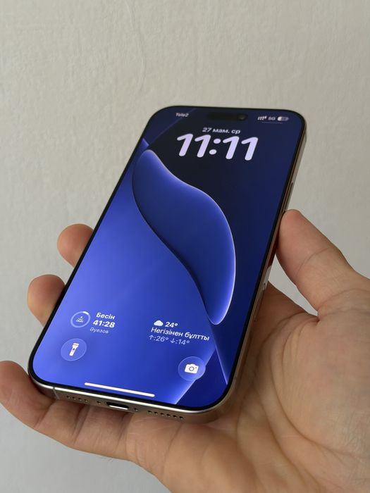 Apple iPhone 16 Pro Max 256GB 100%